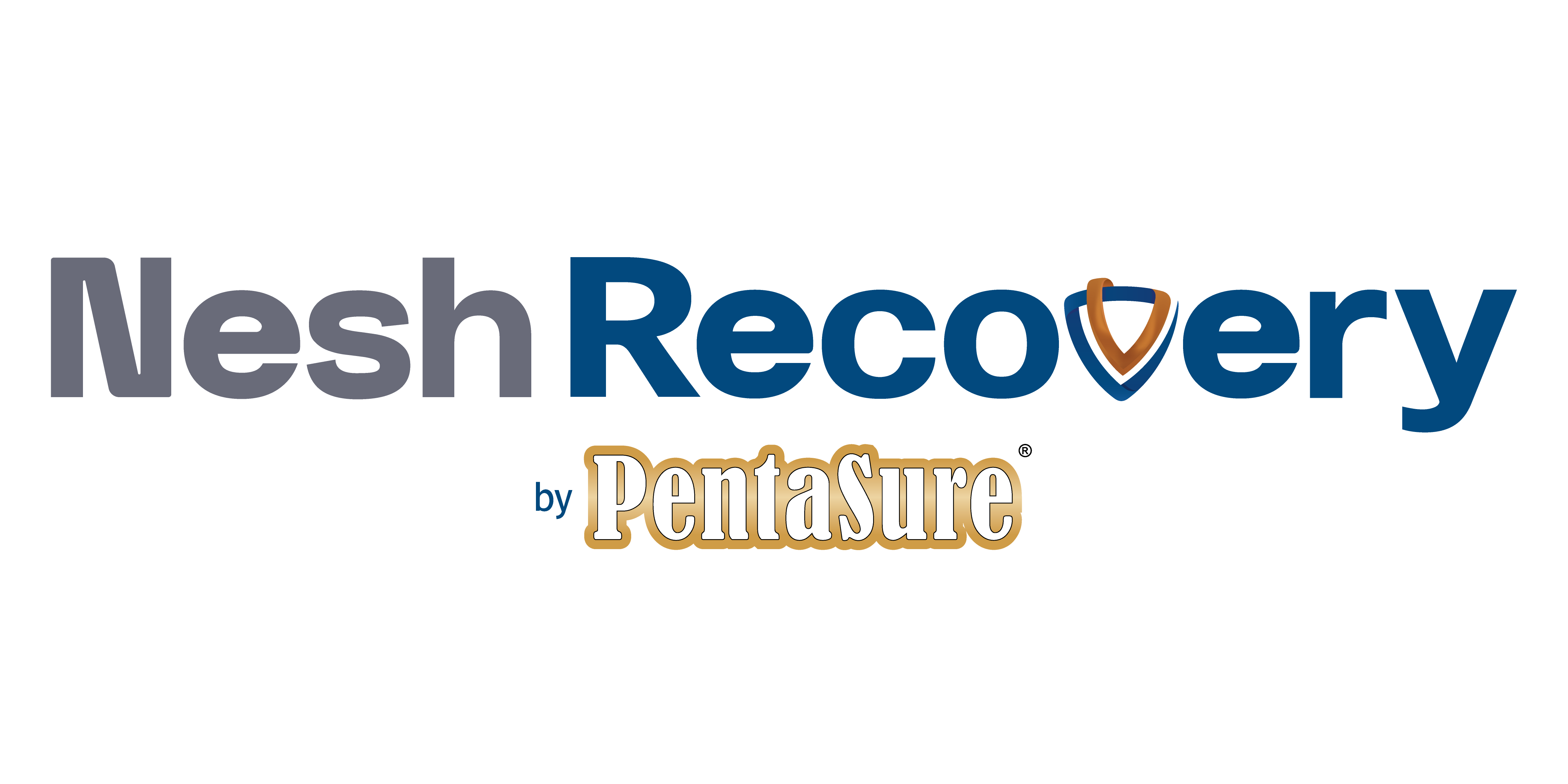 Logo Nesh Recovery